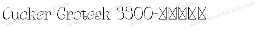 Tucker Grotesk 5500字体转换